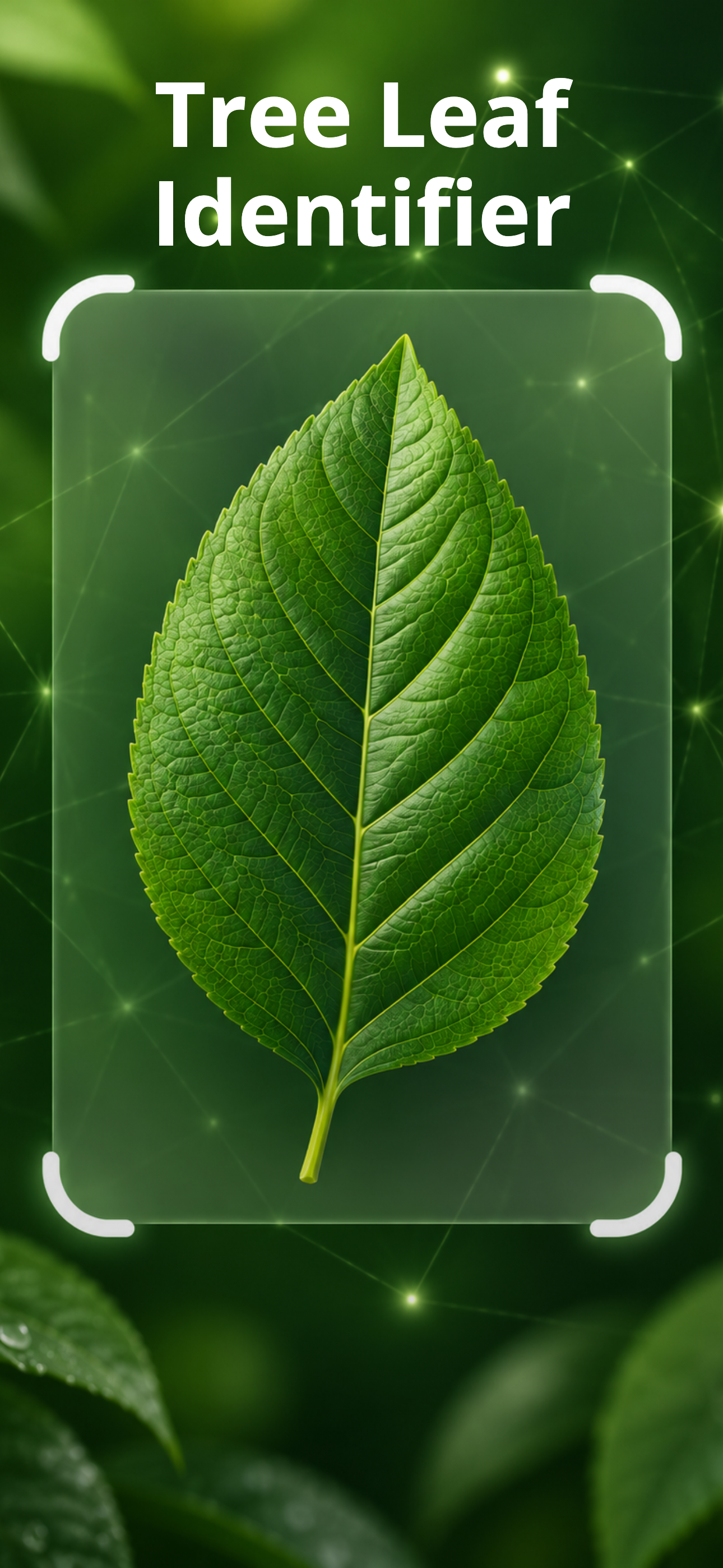 Tree Leaf Identifier app showing a leaf identification result